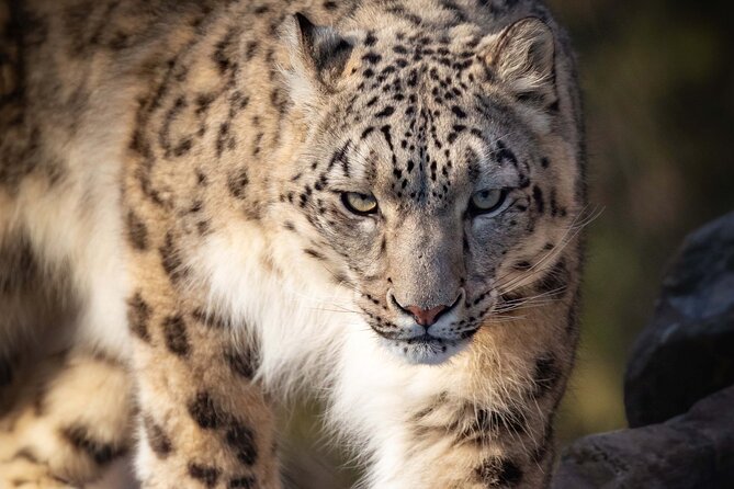 Granby Zoo 1 Day - How to use your five hours well