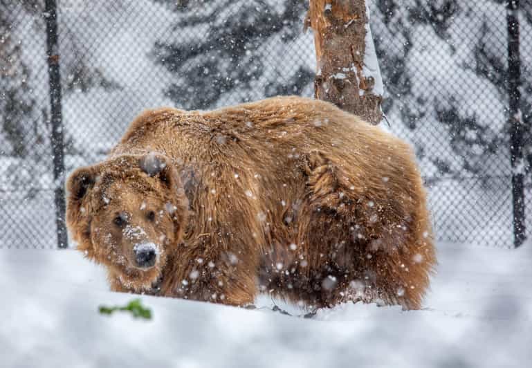 Great Plains Zoo - Primate Paradise keeps the visit lively