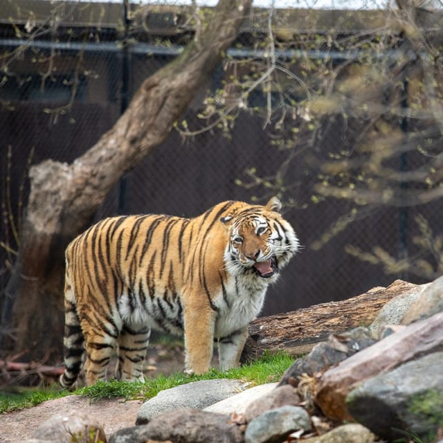 Great Plains Zoo - Practical rules and access