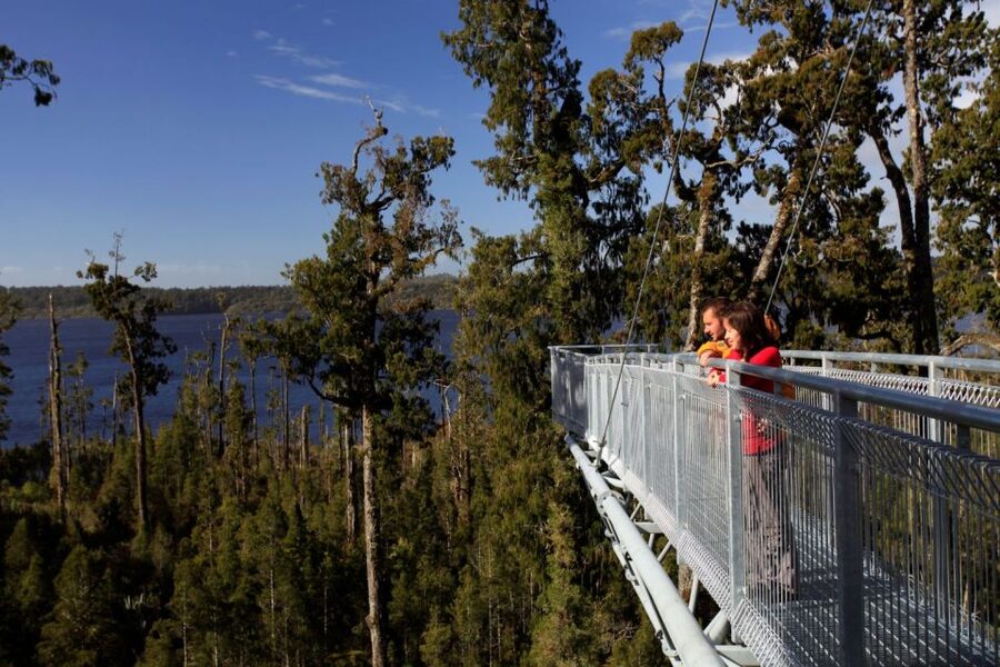 Greymouth: Glacier, Heritage & Wildlife Centre Guided Tour - The practical weak spots
