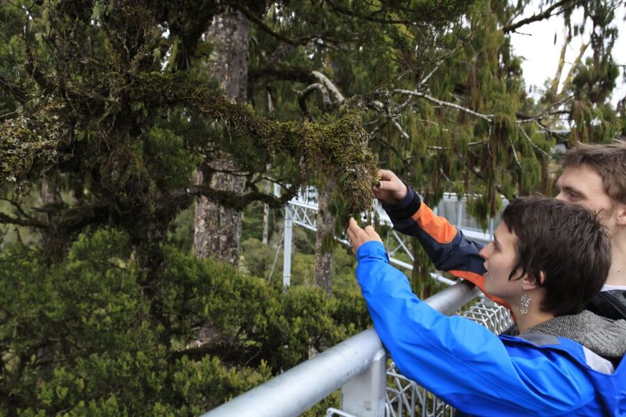 Greymouth: Glacier, Heritage & Wildlife Centre Guided Tour - Who should book this Greymouth day tour?