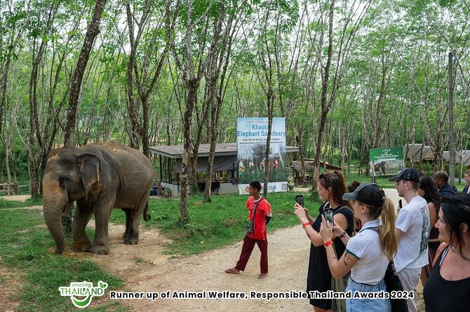 Guide Tour to Khaolak Elephant Sanctuary in Small Group - Key points to know before you book