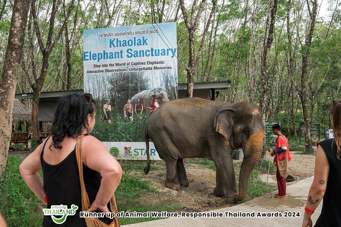 Guide Tour to Khaolak Elephant Sanctuary in Small Group - What the 90-minute visit is really like