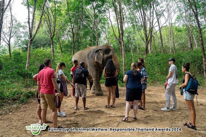 Guide Tour to Khaolak Elephant Sanctuary in Small Group - Feeding bananas without turning it into a show