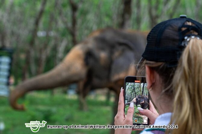 Guide Tour to Khaolak Elephant Sanctuary in Small Group - Walking through the trees for one unhurried hour
