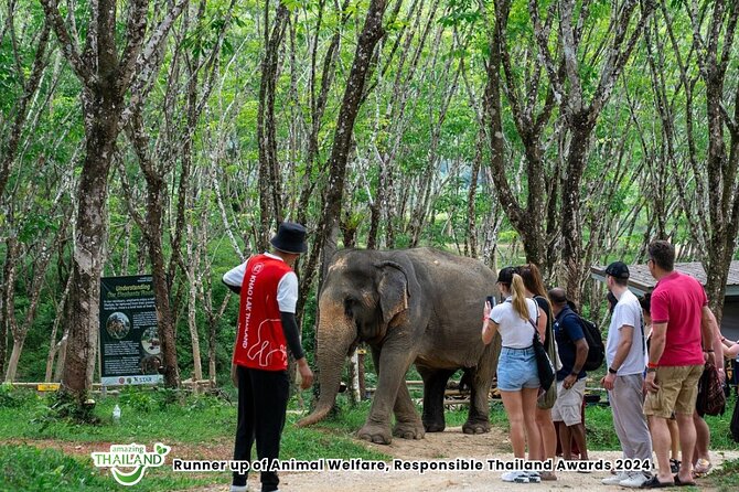 Guide Tour to Khaolak Elephant Sanctuary in Small Group - Hotel pickup and the timing catch