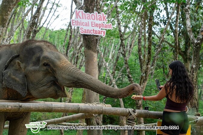 Guide Tour to Khaolak Elephant Sanctuary in Small Group - Who will enjoy this sanctuary most?