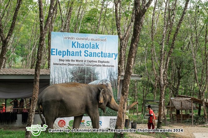 Guide Tour to Khaolak Elephant Sanctuary in Small Group - Starting with coffee, a briefing, and elephant stories