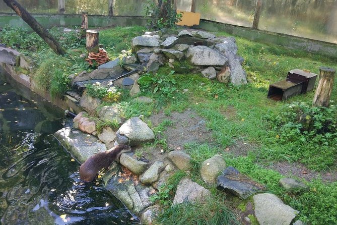 Guided Ranua Wildlife Park tour with Lunch, Small group adventure - How much guidance should you expect?