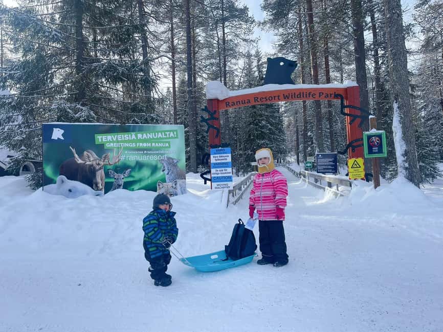 Guided Ranua Wildlife Zoo Tour with Lunch Buffet - From Rovaniemi to the forests of Ranua