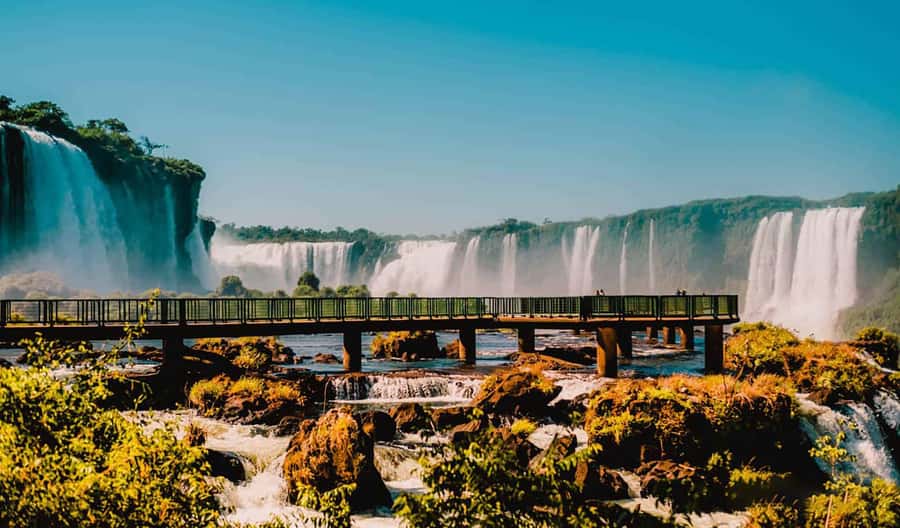 Guided Tour: Brazilian Falls and Bird Park - What the Redbus adds to the day