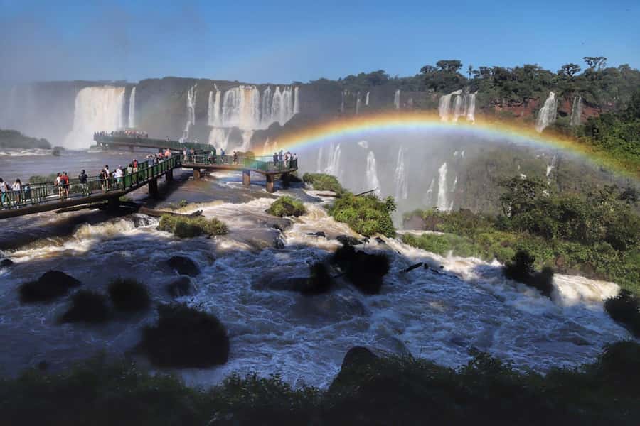 Guided Tour: Brazilian Falls and Bird Park - Guide service and languages