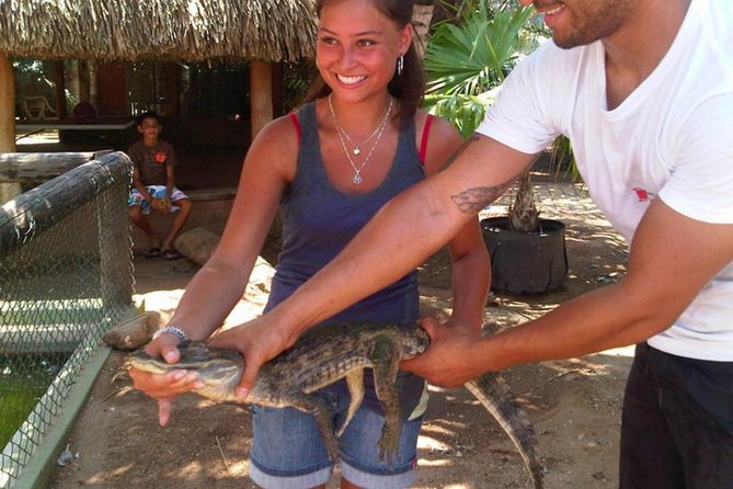 Half-Day Aruba Animal Sanctuary Guided Tour - Aruba Ostrich Farm: a lively first stop
