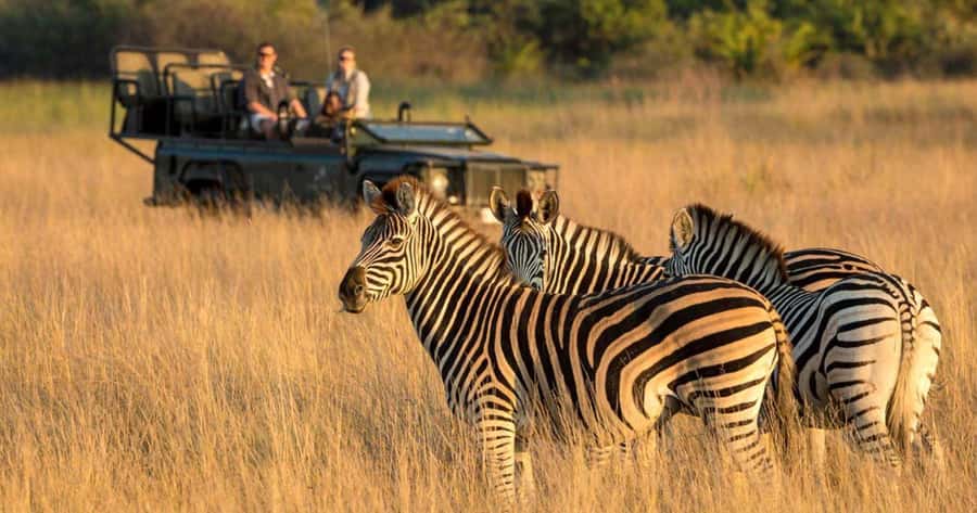 Half Day Durban City Tour and Phezulu Safari Park - Key points to know before you book