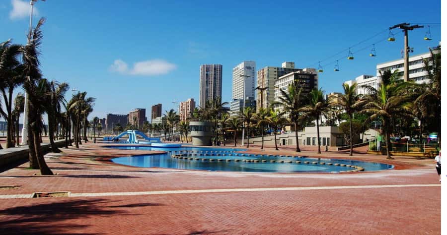Half Day Durban City Tour and Phezulu Safari Park - What to expect on the game drive