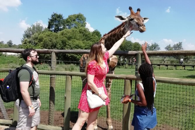 Half Day Lion and Safari Park Tour - Key points to know before booking