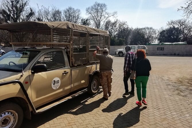 Half Day Lion and Safari Park Tour - What the four-hour Lion and Safari Park visit is really like