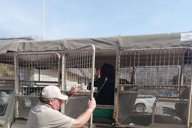 Half Day Lion and Safari Park Tour - Hotel pickup from Johannesburg and Pretoria