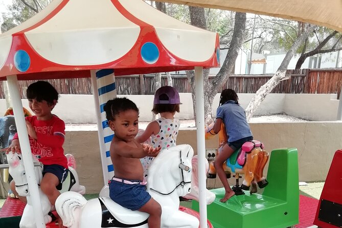 Half Day Lion and Safari Park Tour - The $103.89 price and what it includes