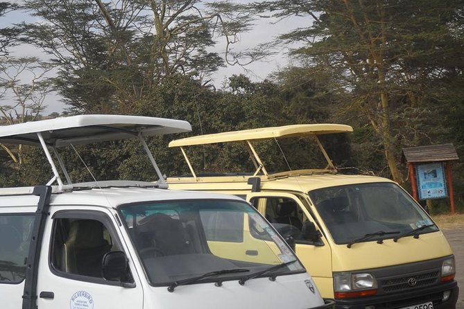 Half Day :safari Game Drive At Nairobi Park/elephant Sanctuary/giraffe Centre - Who will get the most from this outing