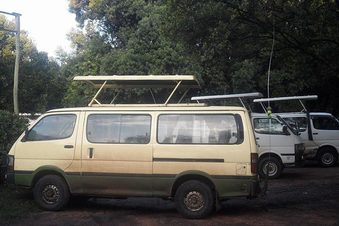 Half Day :safari Game Drive At Nairobi Park/elephant Sanctuary/giraffe Centre - Nairobi National Park: the morning’s main event