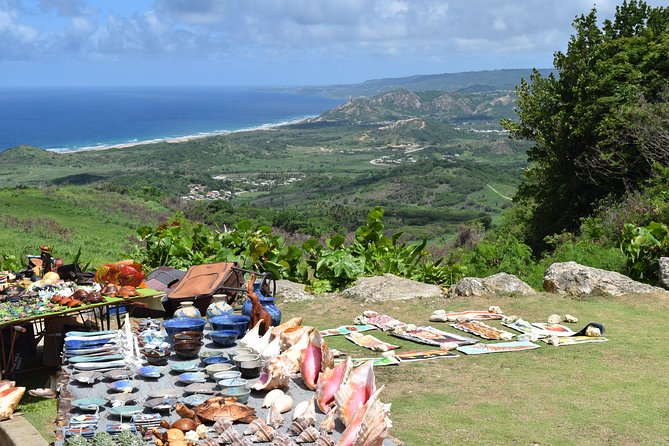 Half Day Tour St Nicholas Abbey and The Barbados Wildlife Reserve - Why this half-day tour works well