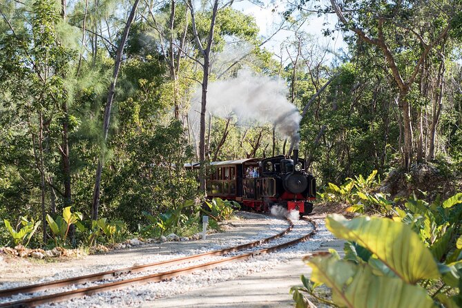 Half Day Tour St Nicholas Abbey and The Barbados Wildlife Reserve - St Nicholas Abbey: choose the house or the railway