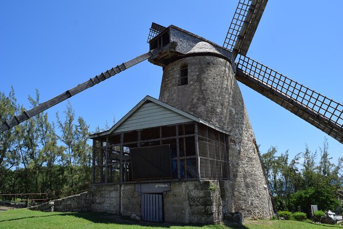 Half Day Tour St Nicholas Abbey and The Barbados Wildlife Reserve - Should you book this Barbados tour?