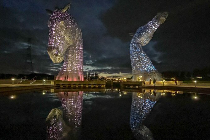 Highland Cows, Walk Alpacas & Scottish Wildlife Centre from Edin. - A country day built around Scottish animals