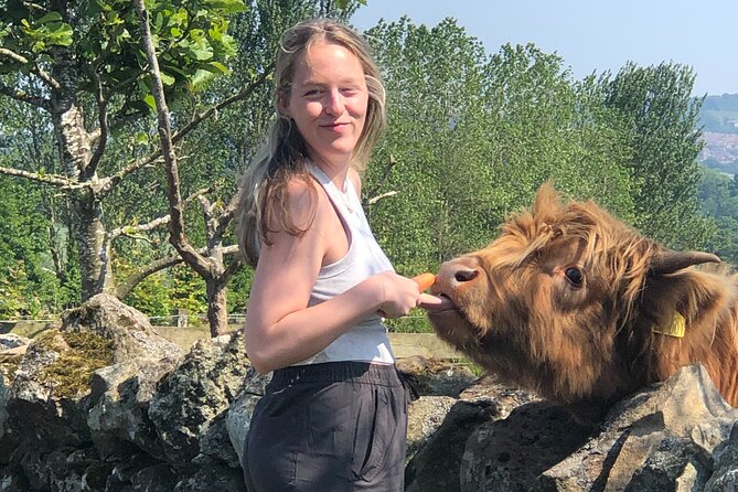 Highland Cows, Walk Alpacas & Scottish Wildlife Centre from Edin. - What the private vehicle adds to the day