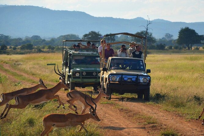 Hluhluwe Imfolozi Game Reserve & Phezulu Safari Park from Durban - Key points at a glance
