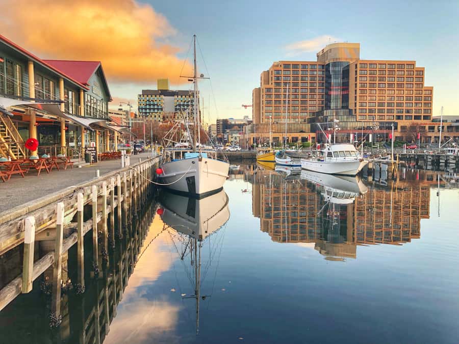Hobart: Full-Day Bonorong Wildlife Sanctuary & Richmond Tour - Seeing Hobart from the coach