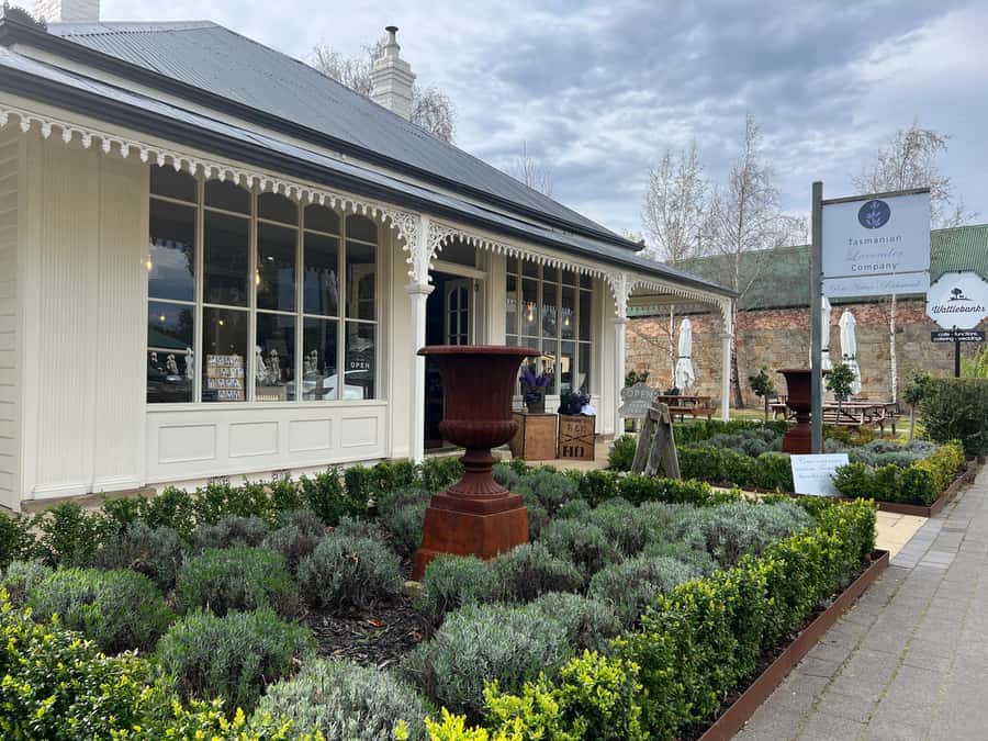 Hobart: Full-Day Bonorong Wildlife Sanctuary & Richmond Tour - Bonorong Wildlife Sanctuary and Tasmania’s native animals
