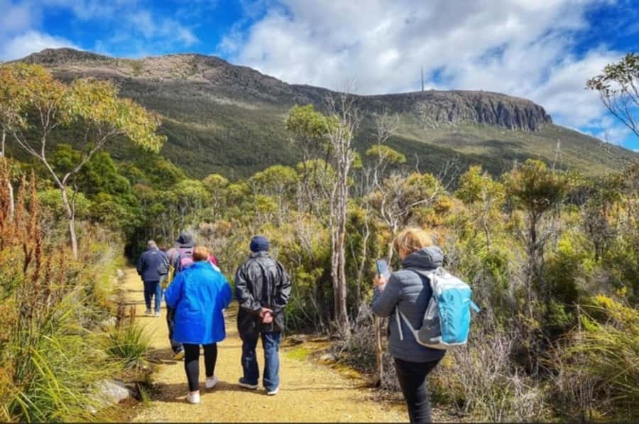 Hobart: Mt Wellington, Richmond, & Bonorong Wildlife Tour - Cascade Gardens and the Female Factory ruins