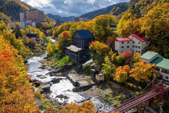 Hokkaido Asahiyama Zoo and Blue Pond Elf Terrace Day Trip - Who will enjoy this Hokkaido route?