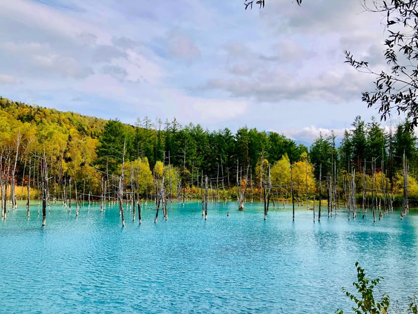 Hokkaido Asahiyama Zoo& Biei Blue pond Tour with Local Guide - Shirahige Falls and the final nature stop