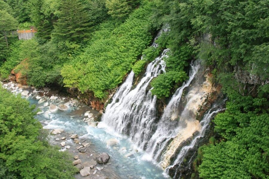 Hokkaido Asahiyama Zoo& Biei Blue pond Tour with Local Guide - Guide languages and the practical group experience