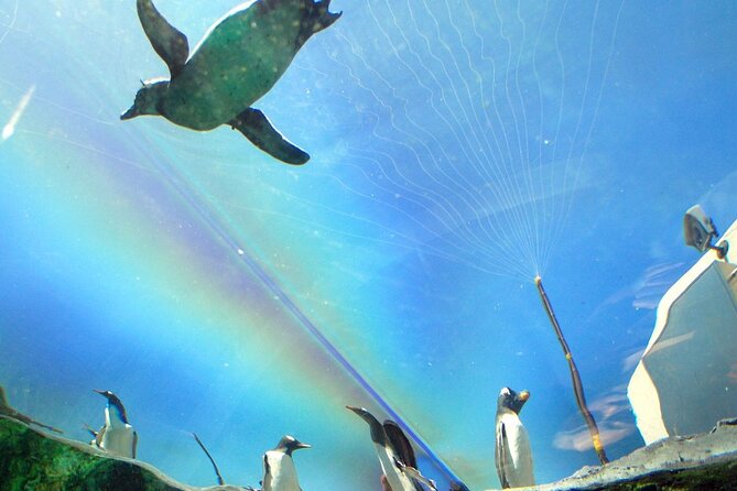 Hokkaido Asahiyama Zoo, Furano and Biei Bus Tour - Two hours at Asahiyama Zoo
