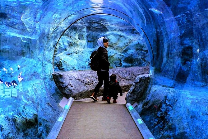Hokkaido Asahiyama Zoo, Furano and Biei Bus Tour - Timing, traffic, and the risks of a fixed schedule