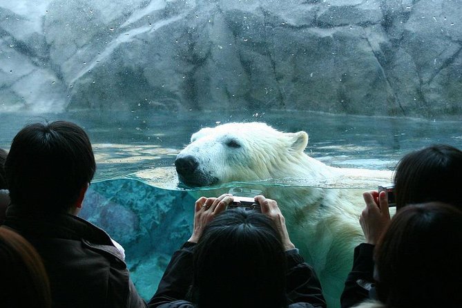 Hokkaido Asahiyama Zoo, Furano and Biei Bus Tour - Farm Tomita and the changing flower season