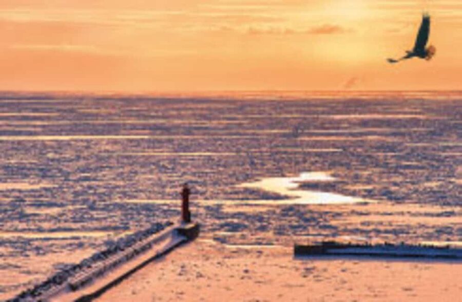 Hokkaido Asahiyama Zoo, Icebreaker GARINKO GO Sunset Tour - Boarding GARINKO GO III at the Sea of Okhotsk