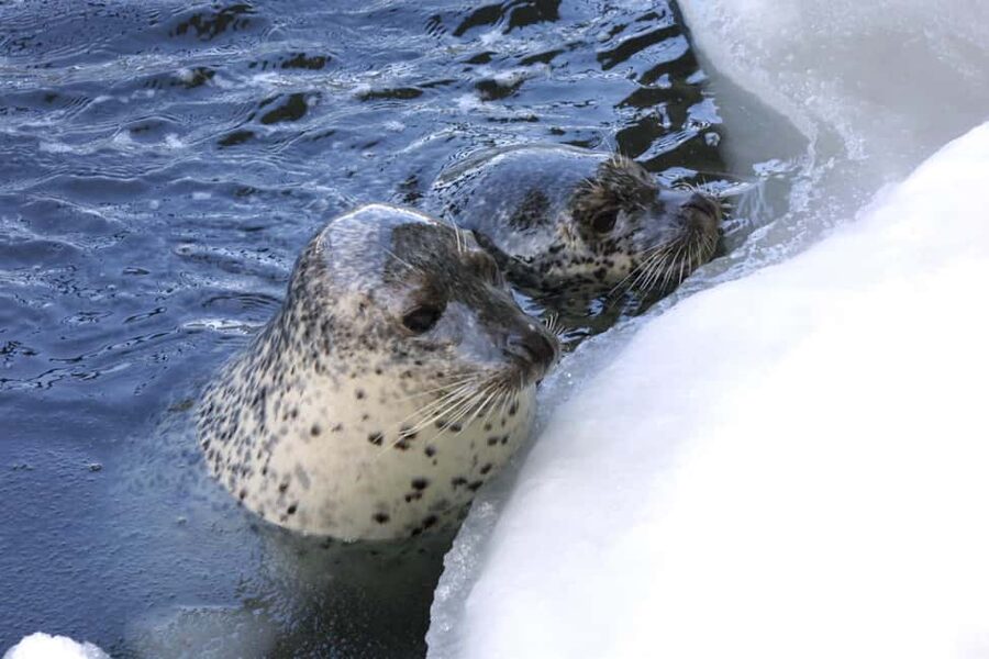 Hokkaido Asahiyama Zoo, Icebreaker GARINKO GO Sunset Tour - Language, timing, and practical limits