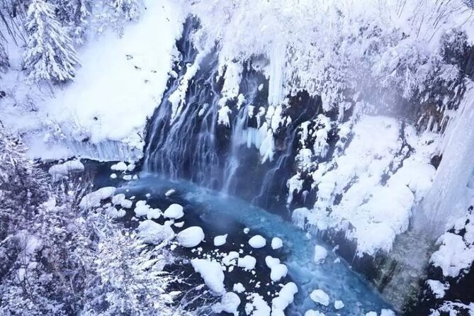 Hokkaido Day Tour from Sapporo: Asahiyama Zoo, Blue Pond Japan - The extra rest stop at Iwamizawa
