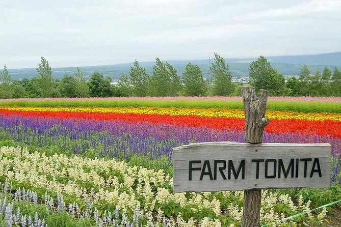 Hokkaido Highlights of Flower Blossom, Asahiyama Zoo& Blue pond「Aoi-ike」! - A long route from Sapporo into rural Hokkaido
