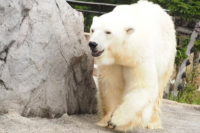 Hokkaido Highlights of Flower Blossom, Asahiyama Zoo& Blue pond「Aoi-ike」! - What the $87.76 price really buys you