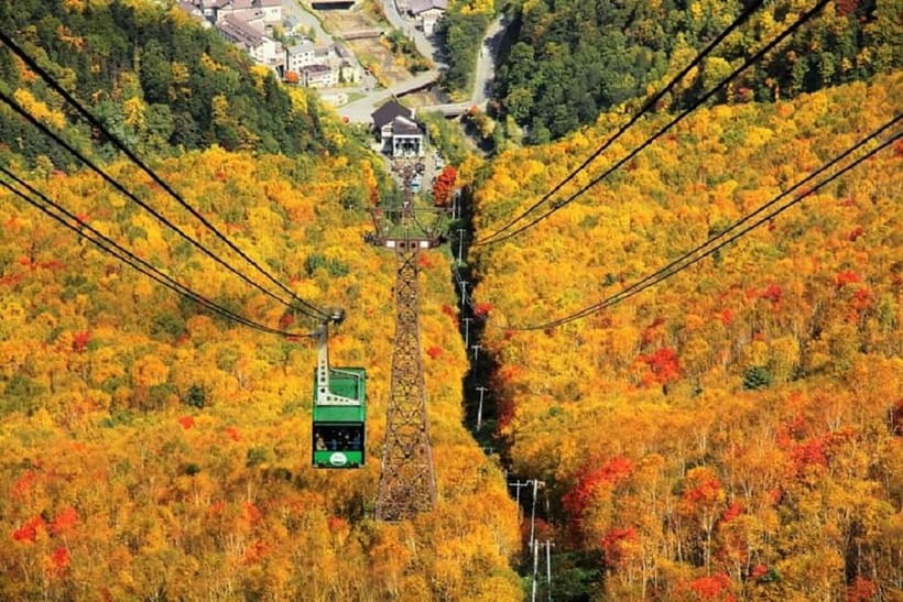 Hokkaido│Kurodake Ropeway, Asahiyama Zoo Autumn Leaves Tour - Kurodake Ropeway and Daisetsuzan’s fall colors