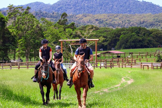 Horse and Quad bike tour with a visit to a Petting Zoo - A two-hour farm adventure near Kuranda