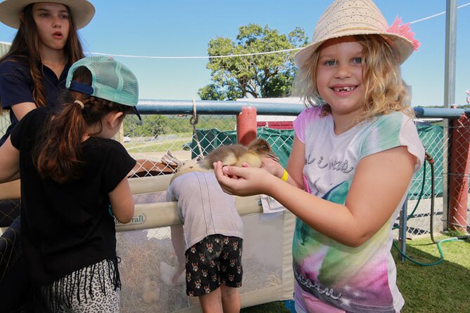 Horse and Quad bike tour with a visit to a Petting Zoo - What the price includes, and what it does not
