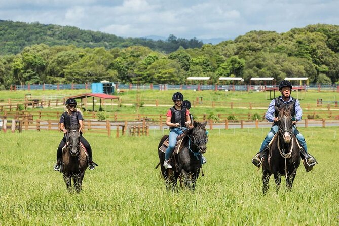 Horse and Quad bike tour with a visit to a Petting Zoo - Should you book the horse and quad bike tour?