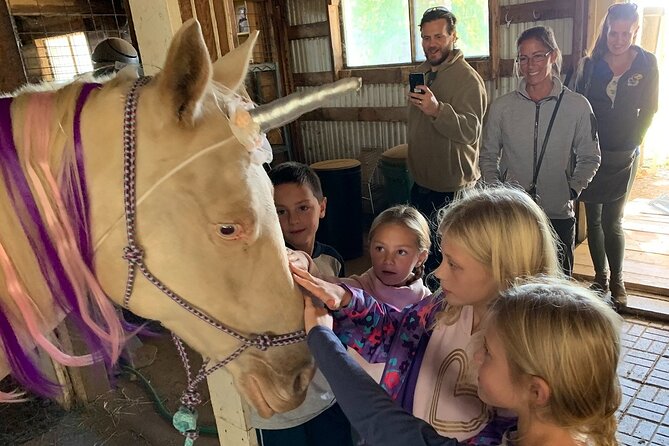 Horseback Rides, Interactions, and Petting Zoo - Roger, Sabine, and a hands-on animal visit